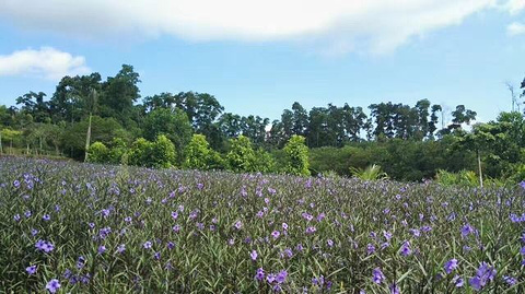 梦幻香山旅游区旅游景点攻略图