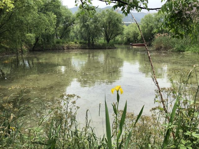 长兴太湖图影湿地文化园