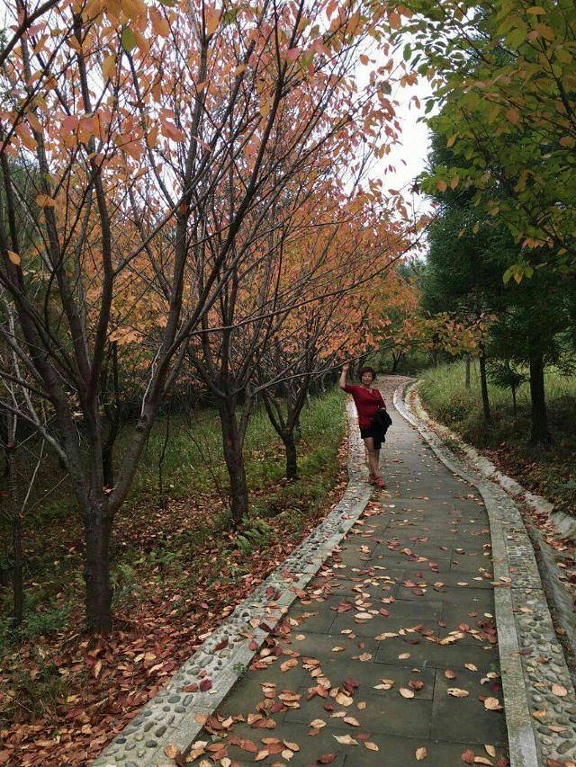 广元天曌山旅游风景区