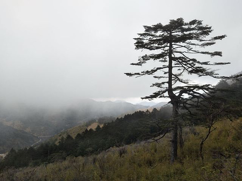 神农顶风景区旅游景点攻略图