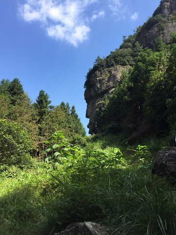 "景色不错，无奈节日期间游客众多，上山时等缆车等了三个小时才坐上，下山的时候等着坐缆车，被告知要..._神仙居"的评论图片