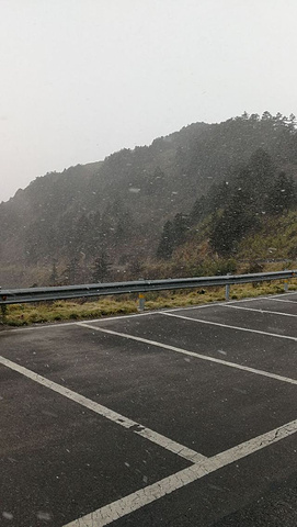 "这里是我国发现野人的地方，游玩的那天山上一直下雪，有的地方雪下的好大，一片云雾缭绕，没法完全看..._神农顶风景区"的评论图片