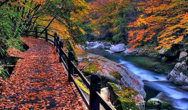 "_光雾山旅游景区"的评论图片