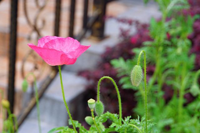 东黄山旅游度假区