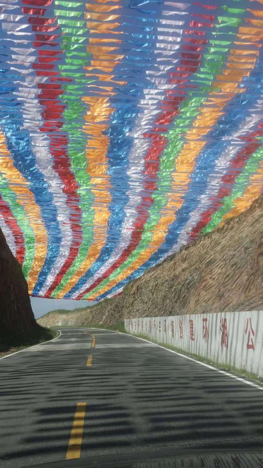 青海湖-鸟岛景区
