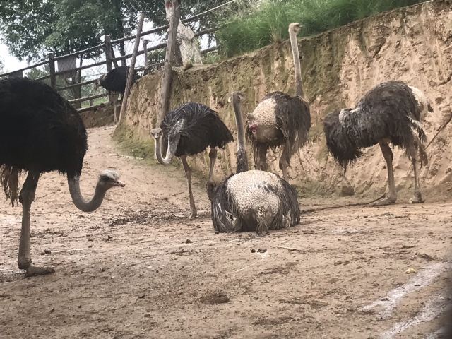 西宁野生动物园