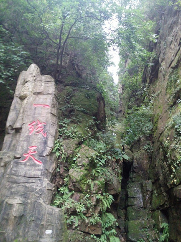 "到此一游不后悔；美景佳境任我找。蜿蜒崎岖拾阶上，石林峽，景色美，石林峽，景色好，不虚此行来一趟_石林峡"的评论图片