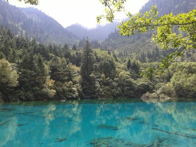 我爸拿着单反照的,景色特别美,环境特别好,一天看不完_九寨沟风景区&