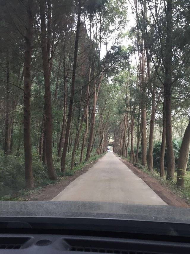 太子山生态旅游区