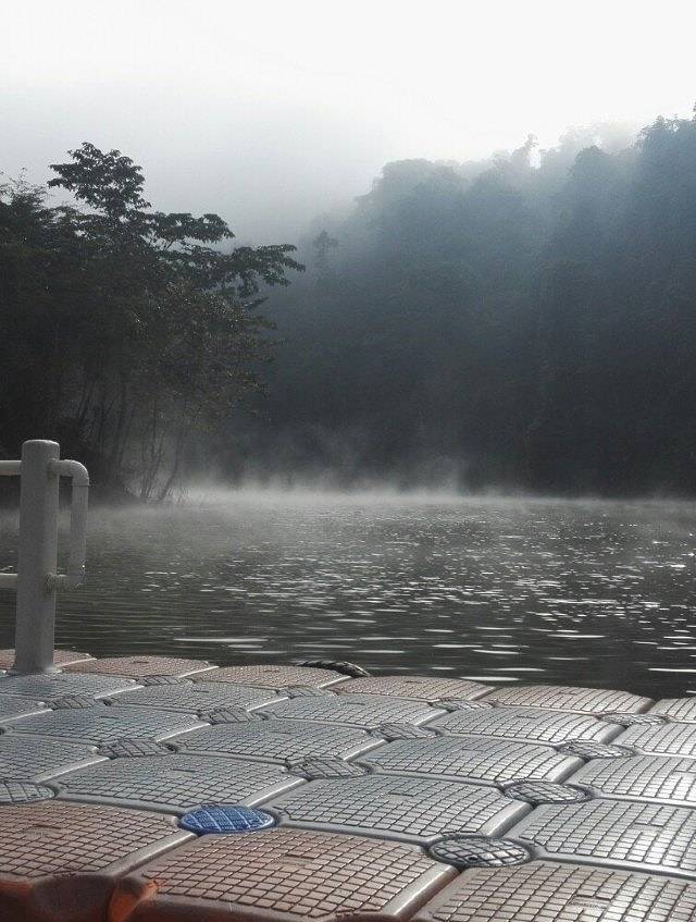 南腊河野趣营地