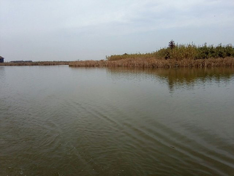 杭州湾国家湿地公园旅游景点攻略图