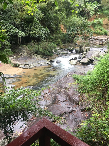 "漂流挺适合的，但是景色一般，太原始化，树木没有太打理，很乱很没观赏，栈道很湿滑，苔藓很多，同路..._五指山水满河热带雨林风景区"的评论图片