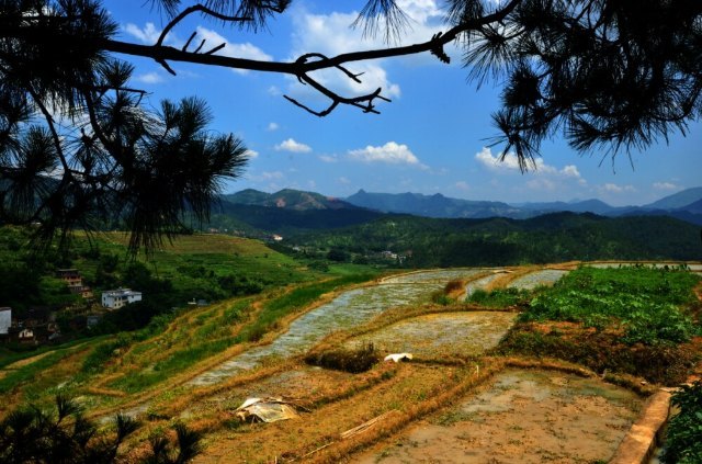 坪山梯田旅游区
