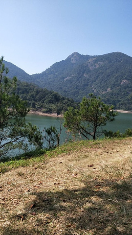 "_洛阳伏牛山滑雪场"的评论图片