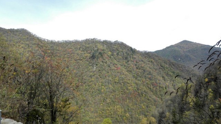 "_沂蒙山旅游区沂山景区"的评论图片