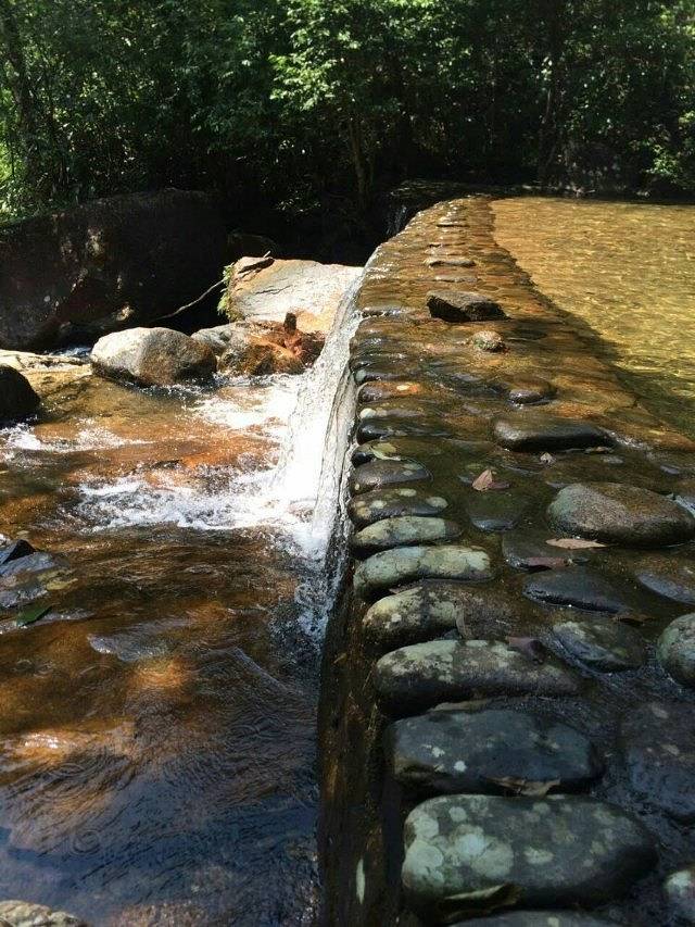 武夷山国家森林公园