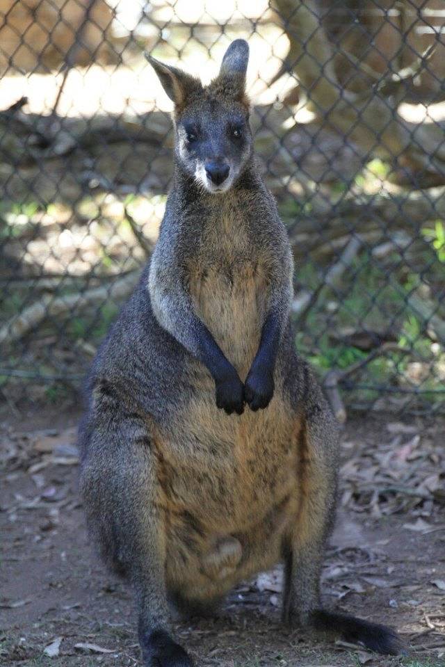 道格拉斯港野生动物栖息地
