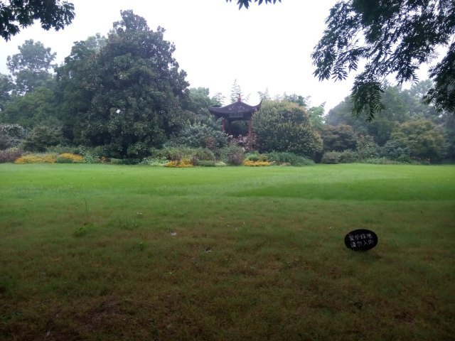 杭州HULUTOWN呼噜幼幼