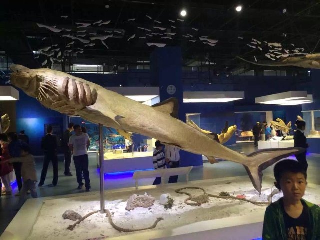 金石滩生命奥秘博物馆