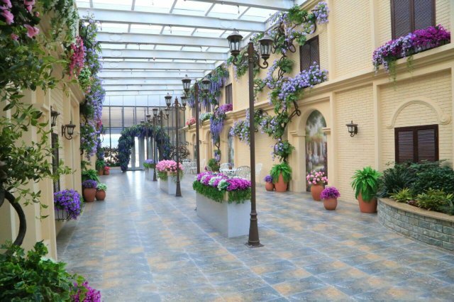 金昌花文化博览馆