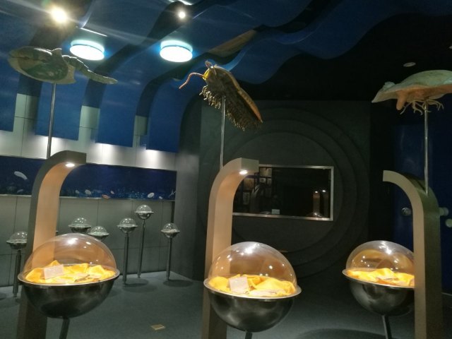 南京古生物博物馆