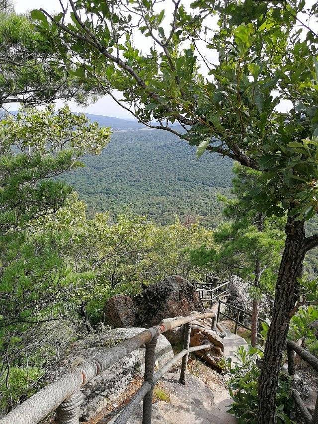 鸡冠山森林公园