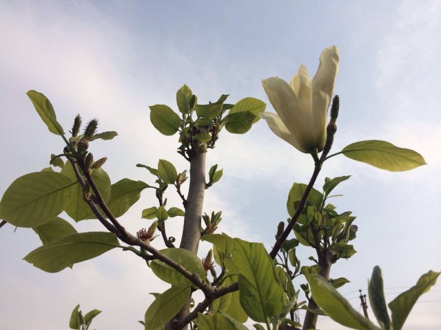 新康力温泉度假村