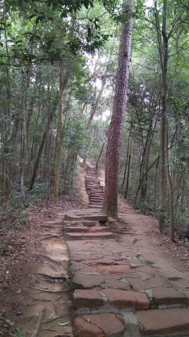 "丹霞山很值的去一去,境区很大分了5个区左右如果想要游完可能要游两天,因为基本上是爬山比较多建议..._丹霞山"的评论图片