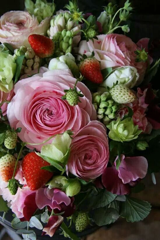 乾陵大唐牡丹园