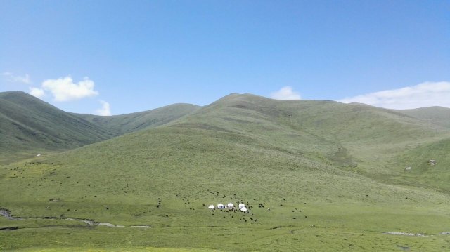 若尔盖西部牧场