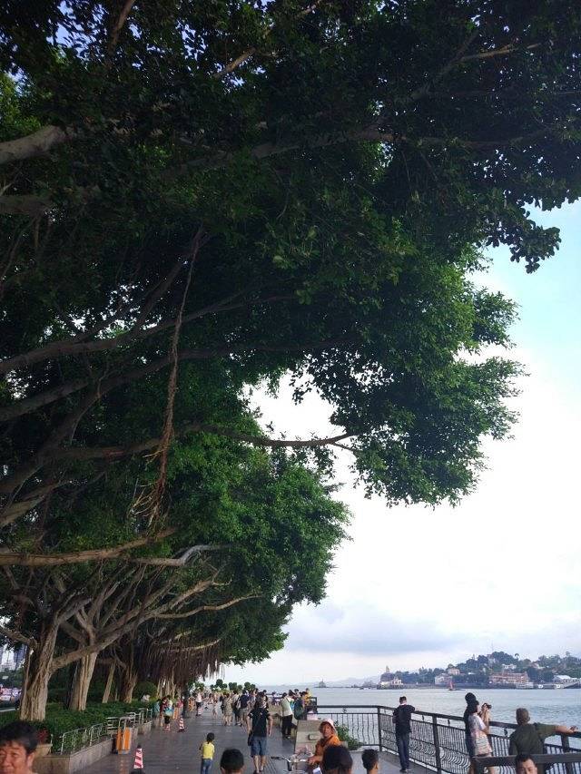 鹭江悠游（旅游客运码头）