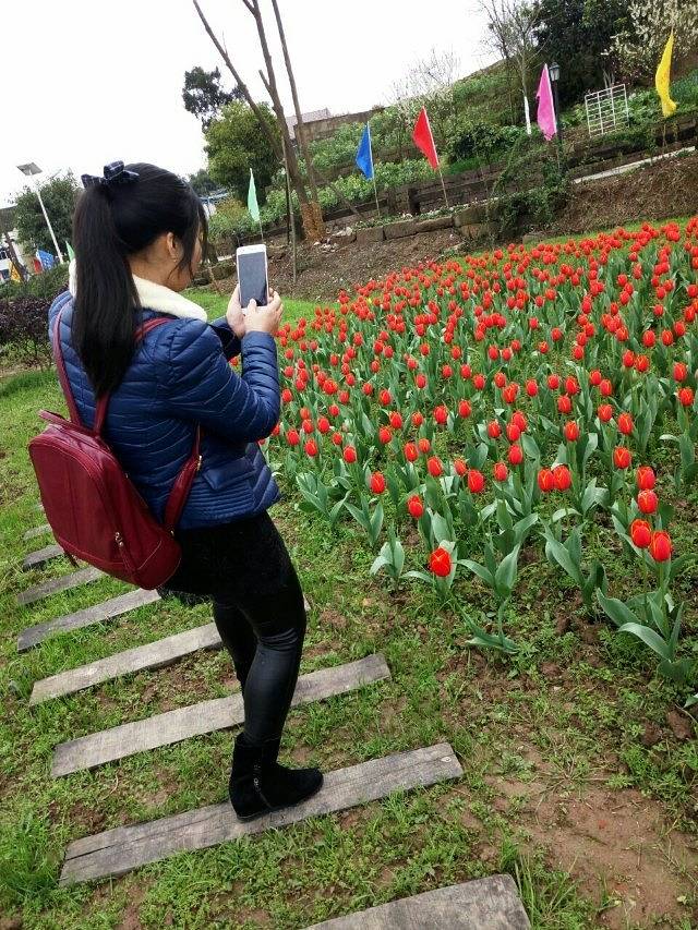 垫江牡丹生态旅游区