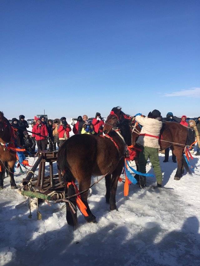 达里湖北岸景区