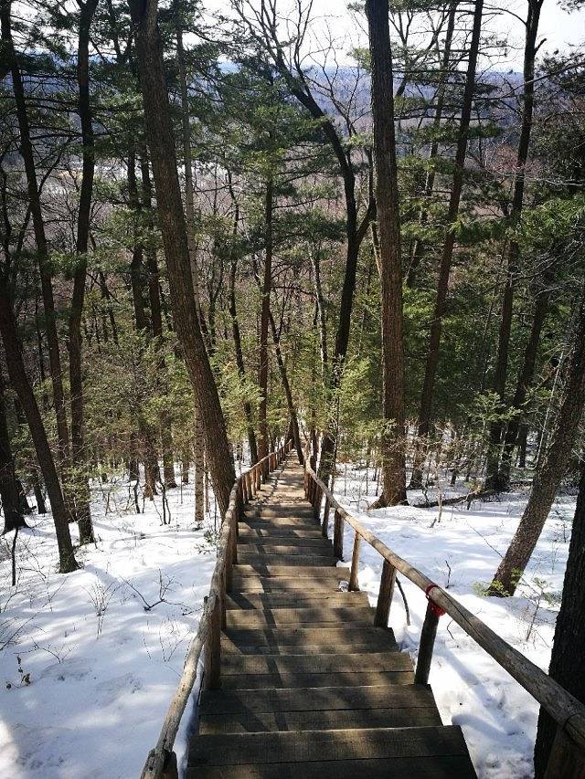 长白山原始萨满部落