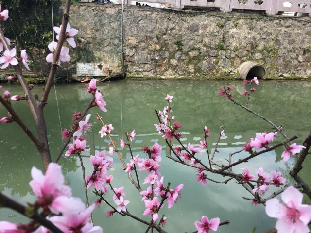 哈密赏石文化博物馆