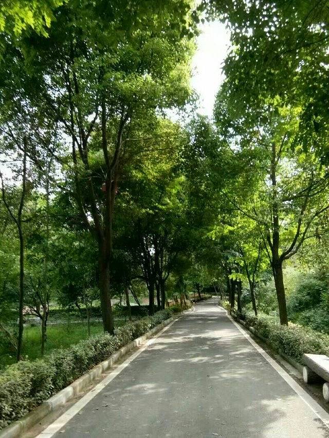 襄阳黄家湾景区