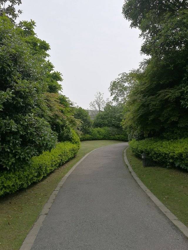 桃花岛(水城店)