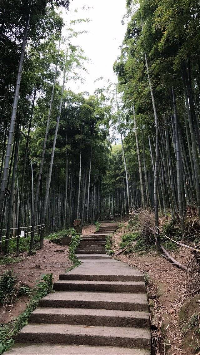 燕东生态园