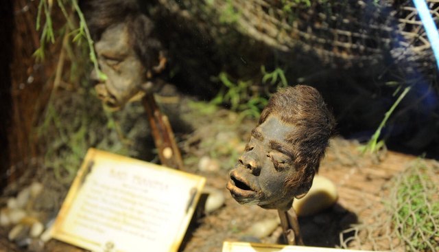 Ripley's Believe It or Not - Times Square