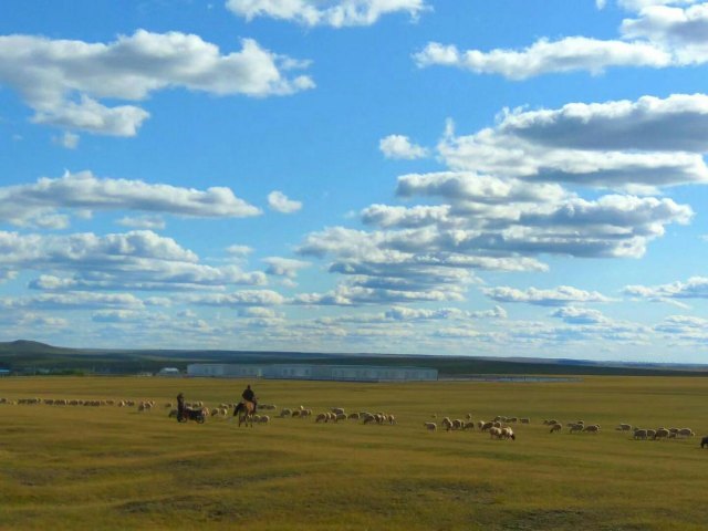 红花尔基樟子松国家森林公园