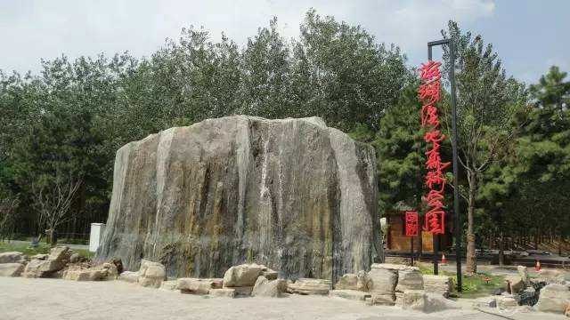 合肥滨湖国家森林公园