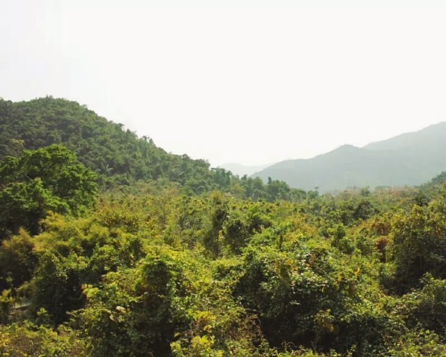 原山白石洞景区