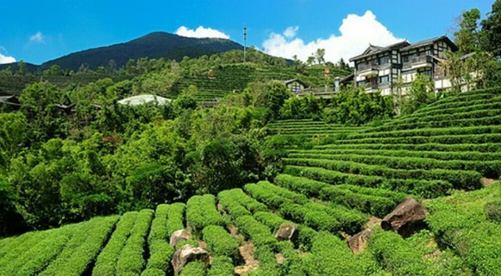 和拍照的好地方,以前有一条接驳到大峡谷园区的小