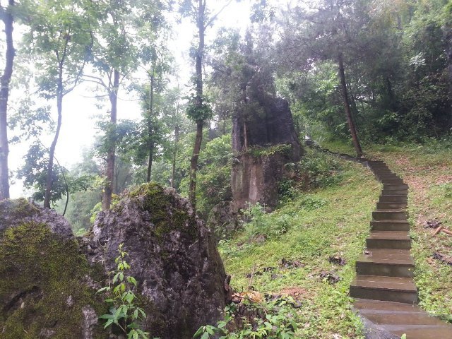 思南石林景区