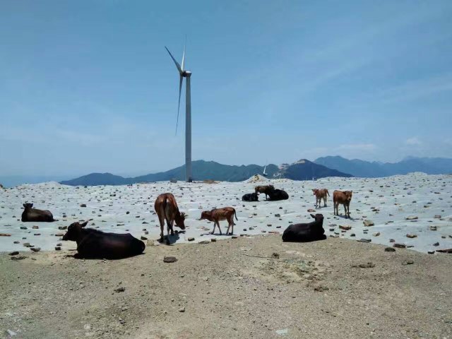 瑞安双溪寨漂流