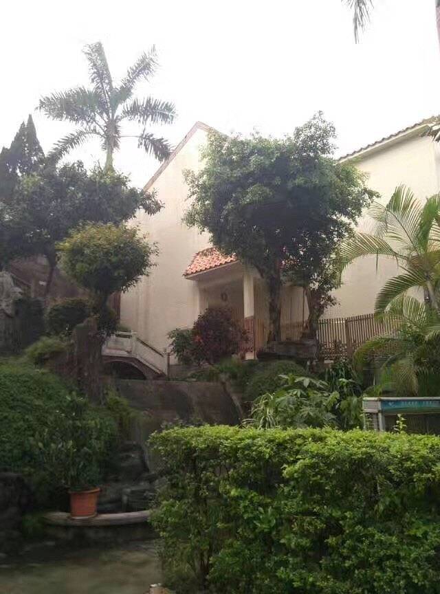 翔顺龙山酒店温泉