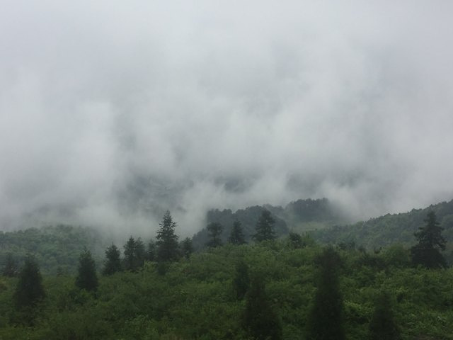 "_沩山风景名胜区"的评论图片