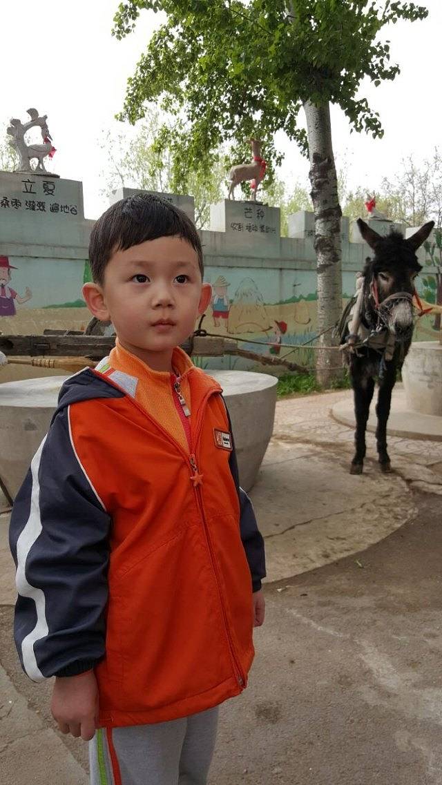 留民营生态科普公园