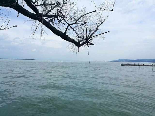 "听说冬季去还有好多海鸥，去时刚好又是雨季，总的来说没有海鸥的海埂就相对普通许多了，希望有机会冬季再来_海埂大坝"的评论图片