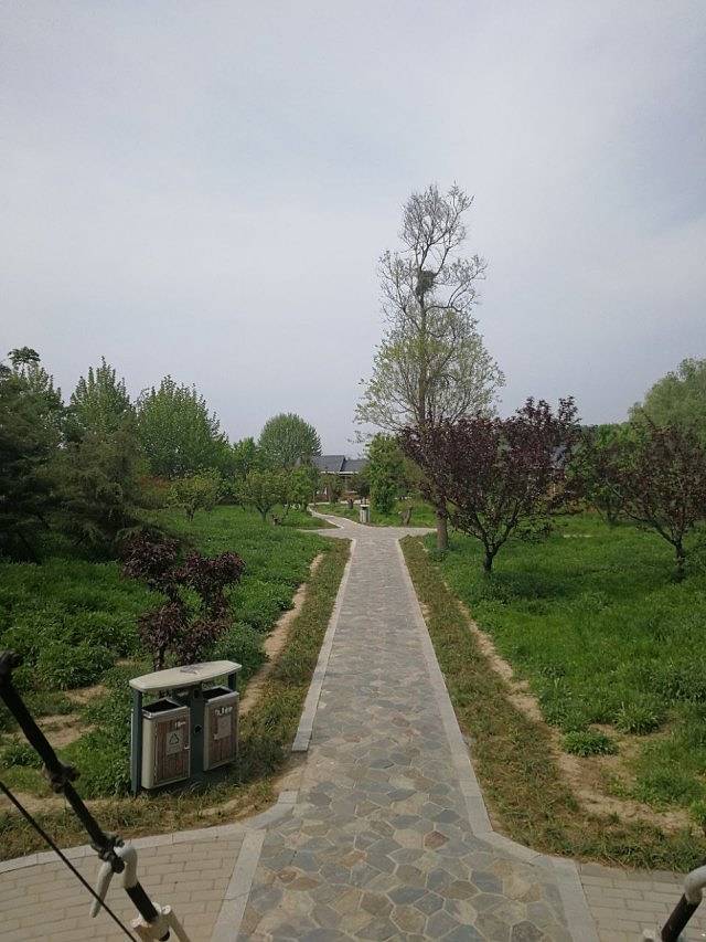 花田紫韵薰衣草庄园